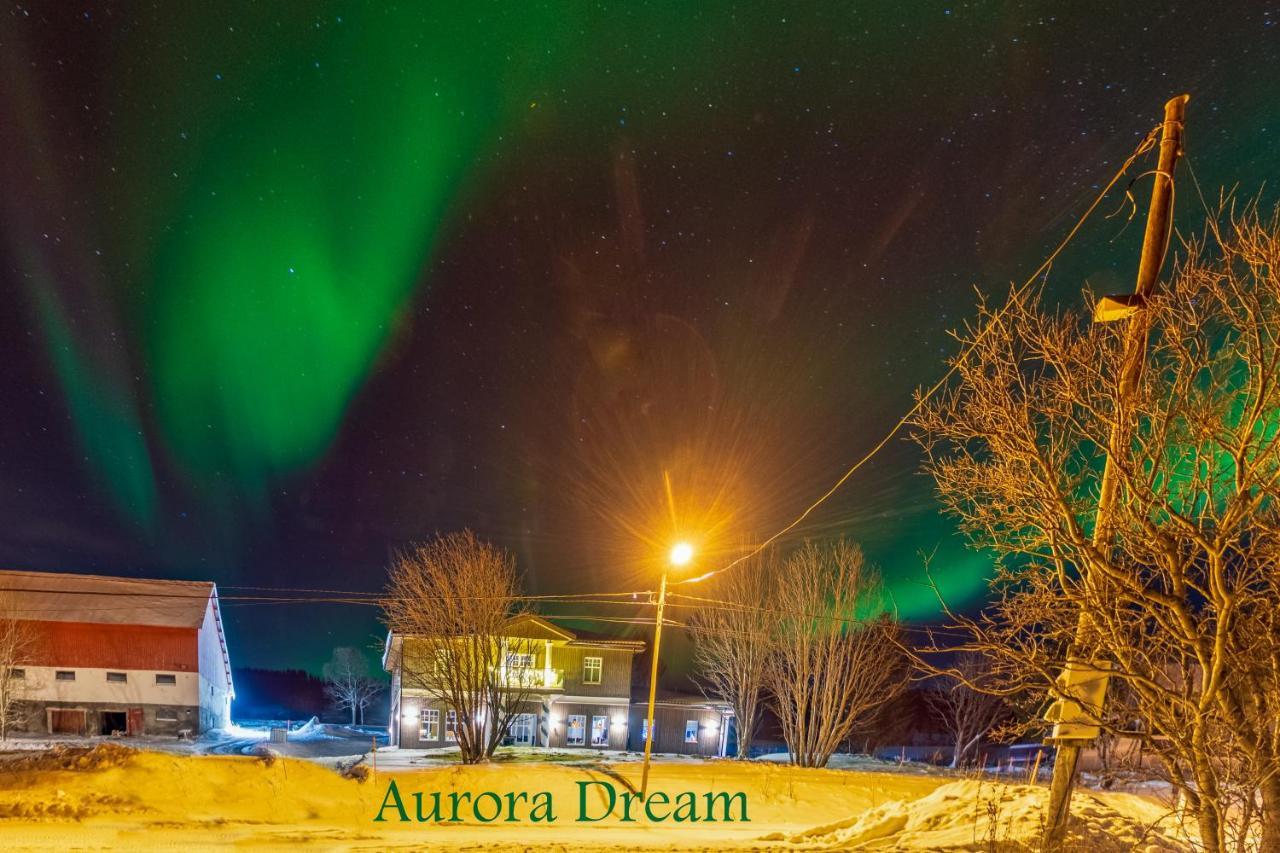 Aurora Dream Apartment Svensby Exterior foto